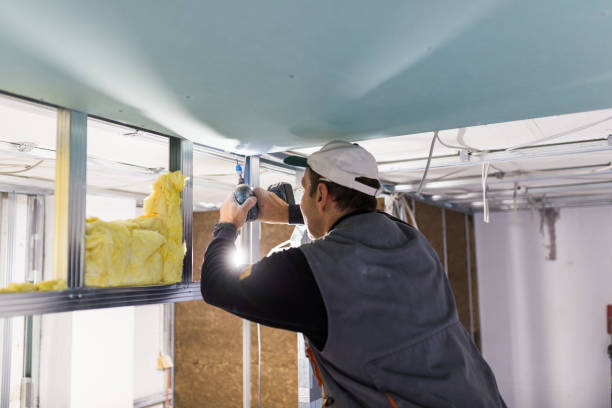 Best Insulation Maintenance and Repair in Janesville, CA
