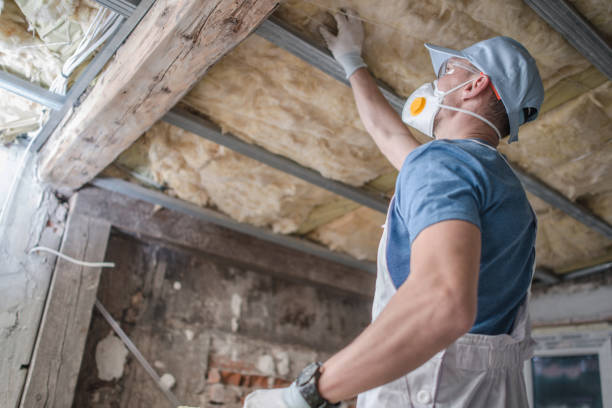Best Specialty Insulation in Janesville, CA