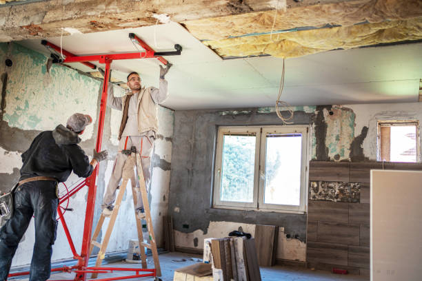 Professional Insulation Contractor in CA